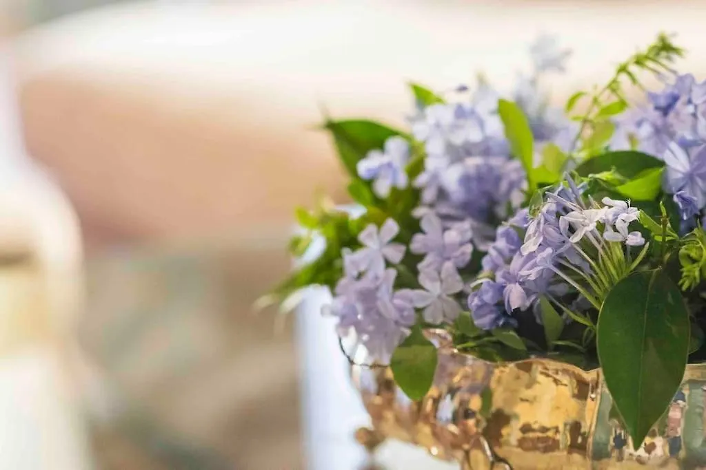 Ginny'S House- Borgo La Croce Luxury Apartment Florence Italy